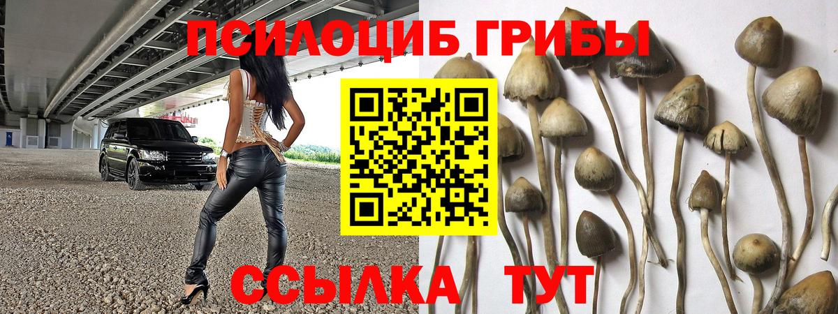 Кузнецк  Галлюциногенные грибы мухоморы  Вход с VPN 
